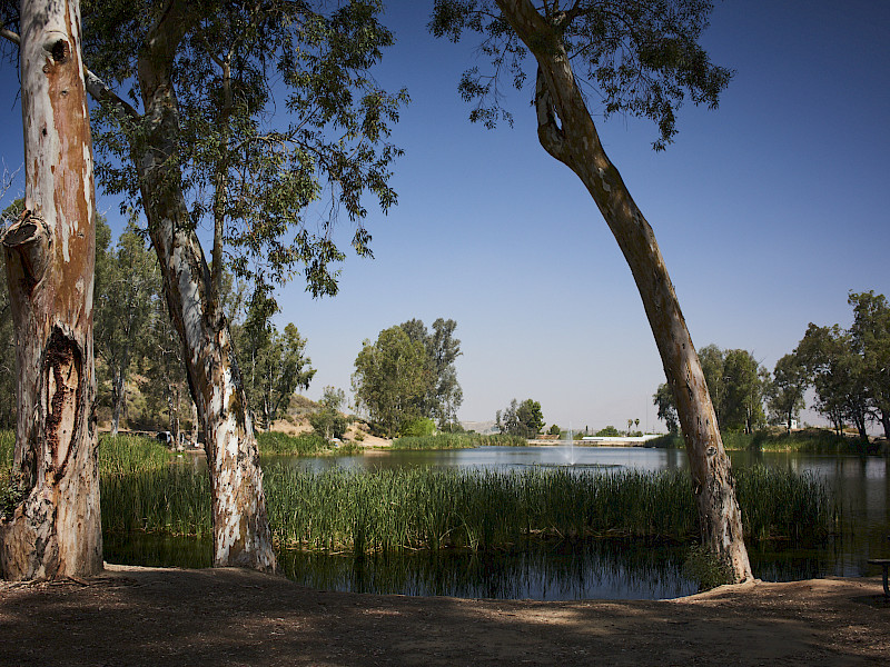 General Image 6